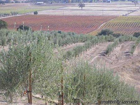 Alta Cresta Orchard & Inn Paso Robles Facilities photo